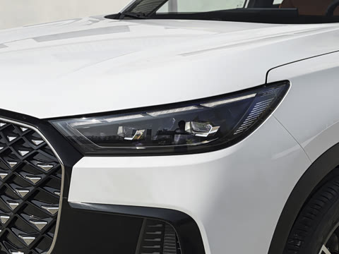 2026�� 290TGDI DCT������ 5��