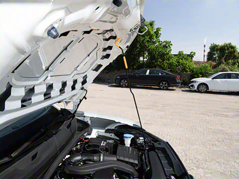 2026�� ���� 300TSI �����