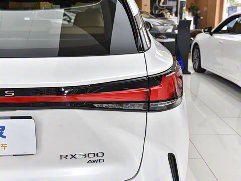 2026�� 300 ����������