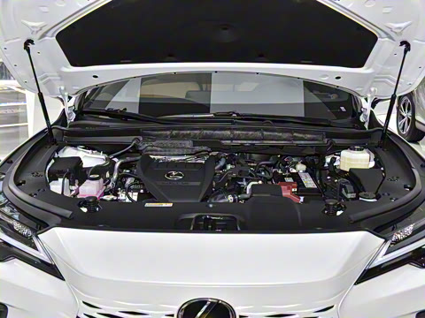 2026�� 300 ����������