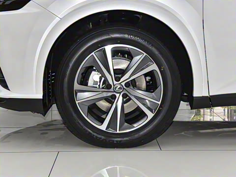 2026�� 300 ����������