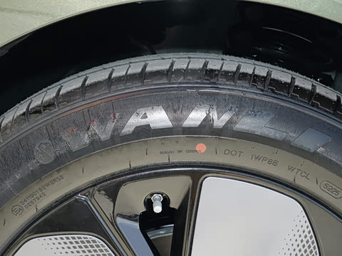 2026�� ���� 565 Plus