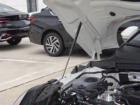 2026�� ���L 300TSI ����