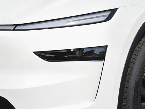 2026�� ����������������