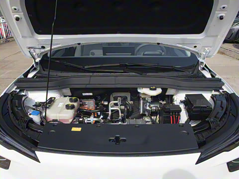 2025�� 565km ������