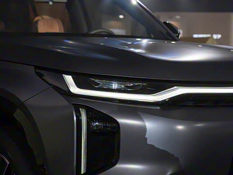 2025�� 205km Pro+�����״��