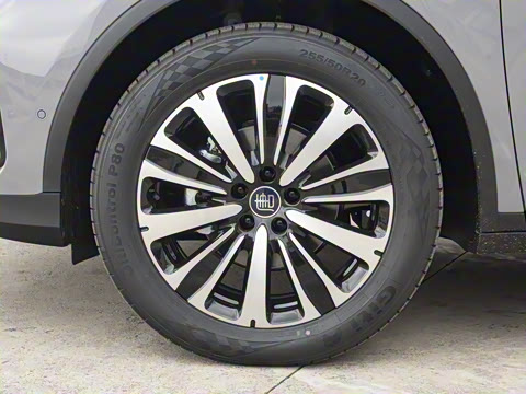 2025�� �Ǽݰ� DM-i 175KM �����