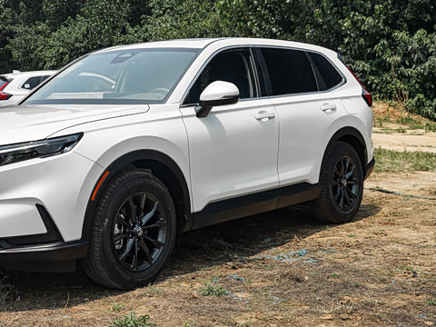 2026�� ȫ��30����ҫ�� 1.5T ��������7����