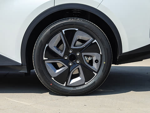 2026�� ������ JOY