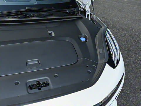 2026��   95������ Max��