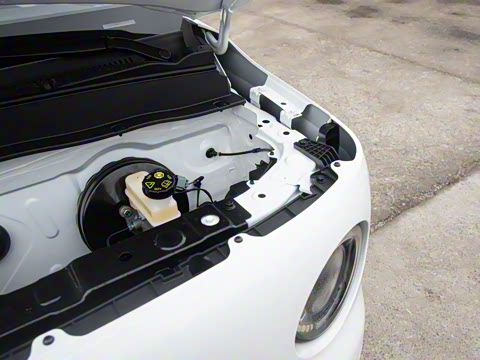 2025�� ������