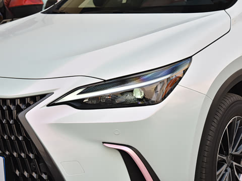 2026�� 200 ��ɫ�޶���