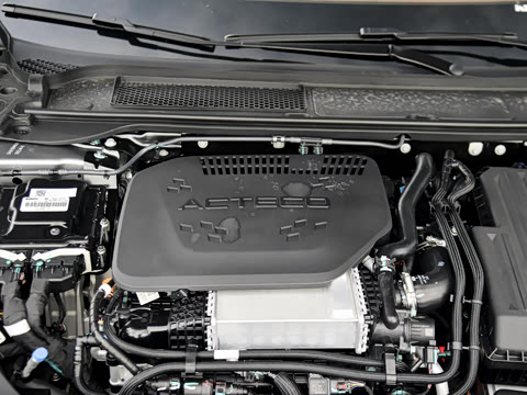 2025�� 260��������������