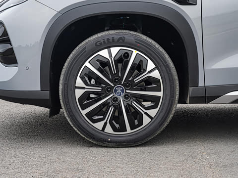 2026�� DM-i 310KM ׿Խ��