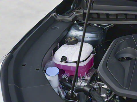 2026�� 125kmԶ����