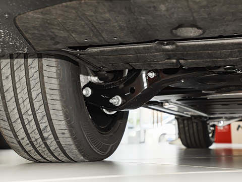 2025�� Max ������