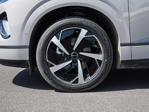 2026�� DM-i 305Զ����