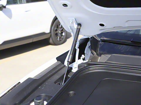 2026�� �������糬���