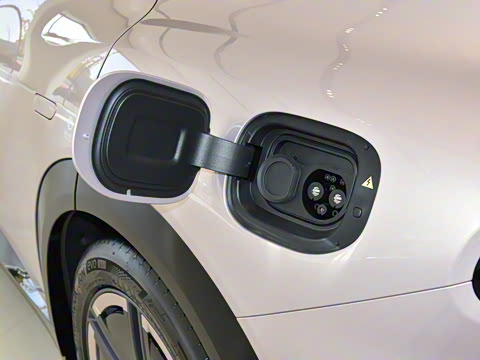 2025�� ������������Pro��