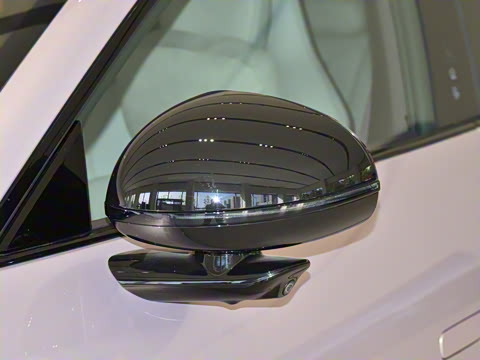 2025�� ������������Pro��