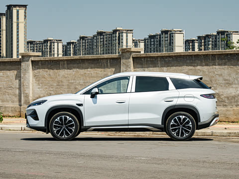 2026�� DM-i 310KM ��Խ��