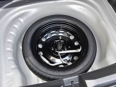 2025�� �Ŀ� 300TSI DSG���а�