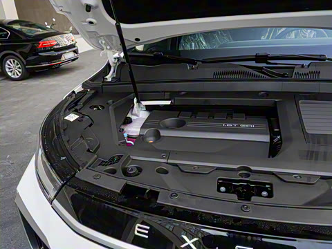 2025�� 300T ������ҹ��