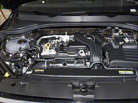 2025�� �Ŀ� 300TSI DSG���а�