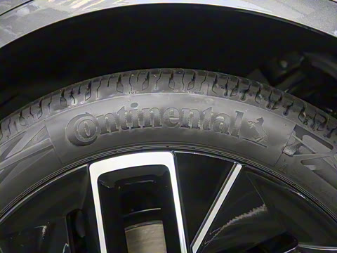 2025�� Max ���������