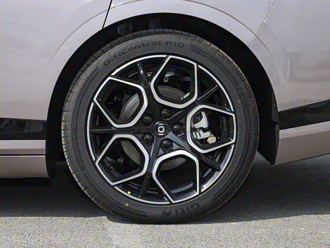 2026�� �����������̰� 310�콢��