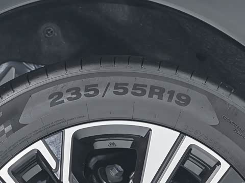 2026�� ���� 81kWh