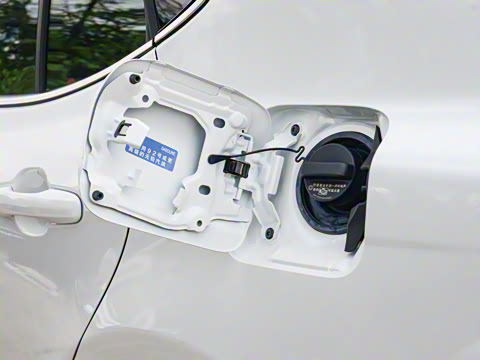 2026�� ˫�� 2.5HXS �˶�Plus��