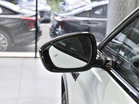 2025�� 565�����ȷ��