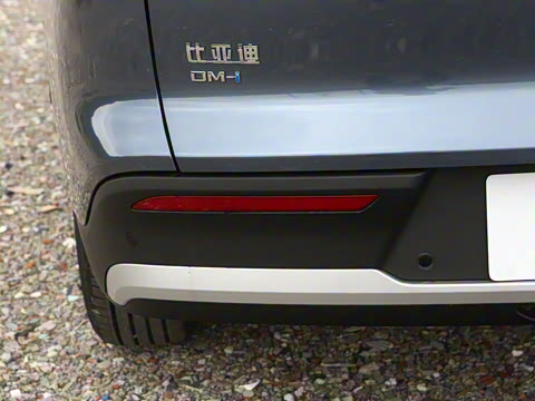 2026�� DM-i 133KM��Խ��