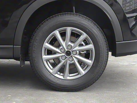 2025�� 2.0L �Զ���������Pro