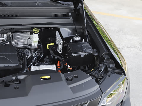 2026�� PLUS 211km XWD ���� 7��
