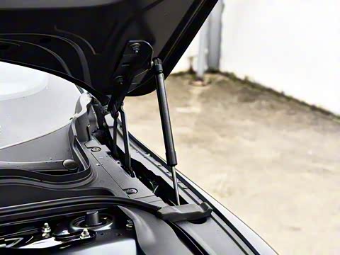 2026�� �����������̰� 310�콢��