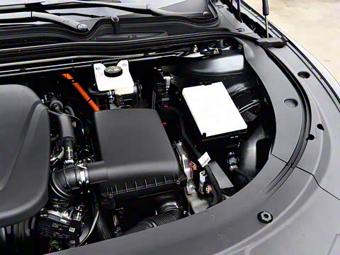 2026�� �����������̰� 310�콢��