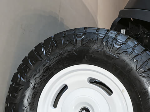 2025�� 2.3T 1966��Ű�