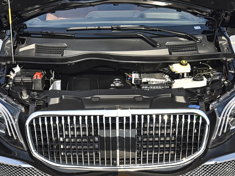 2025�� ������