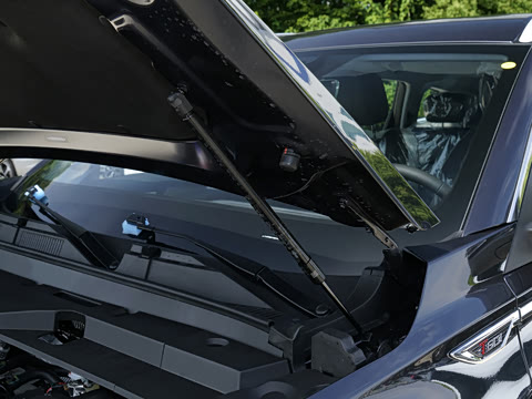 2025�� 290TGDI DCT����� 