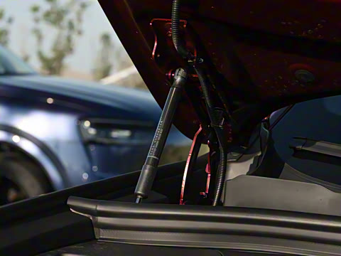 2026�� ���� Ultra������ 6��