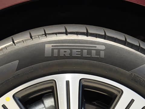 2025�� ���� Max+ ������������ 