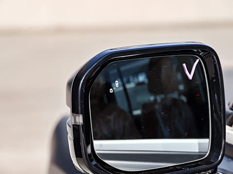 2025�� 2.0T 4WD Pro