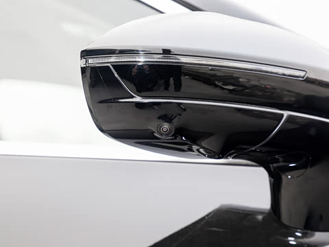 2025�� ��� ����������