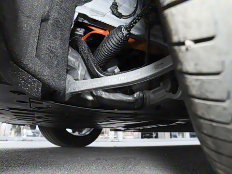 2025�� Elite�����