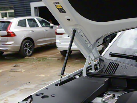 2026�� ������������Plus