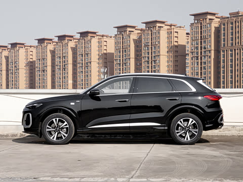 2026�� �ǻ������