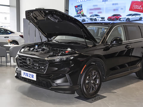 2026�� ȫ��30����ҫ�� 1.5T ��������5����
