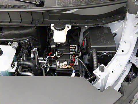 2026�� ��ƽ�� ������������